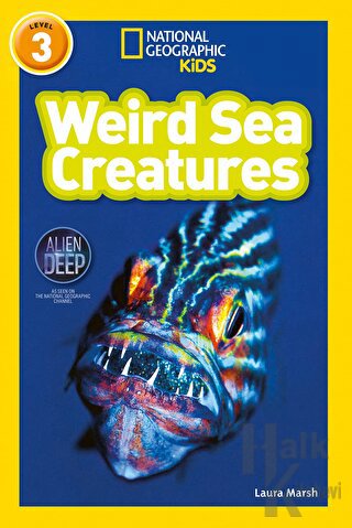 Weird Sea Creatures (Readers 3)
