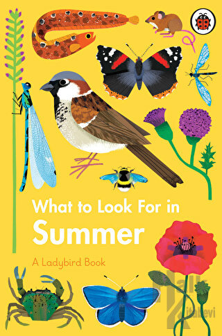What to Look For in Summer (Ciltli) - Halkkitabevi
