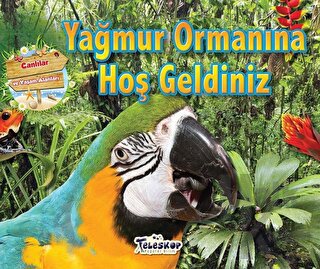 Yağmur Ormanına Hoş Geldiniz