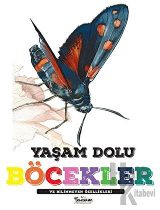 Yaşam Dolu Böcekler ve Bilinmeyen Özellikleri