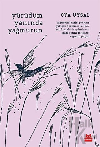 Yürüdüm Yanında Yağmurun