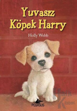 Yuvasız Köpek Harry - Halkkitabevi
