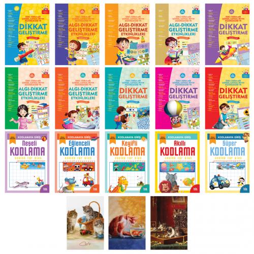 Zeka Soruları 2 - Kodlamaya Giriş ve Kedili Defter Seti - Halkkitabev